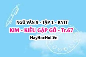 Soạn bài Kim Kiều gặp gỡ trang 67 lớp 9 tập 1 Kết nối tri thức